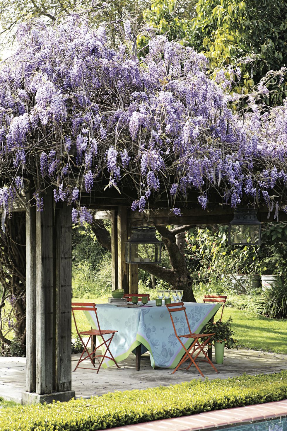 Flower Covered Pergola