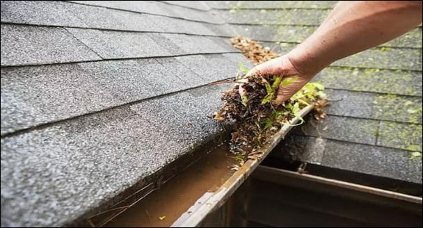 How To Remove Gutter Guards for Cleaning- Your Easy Guide