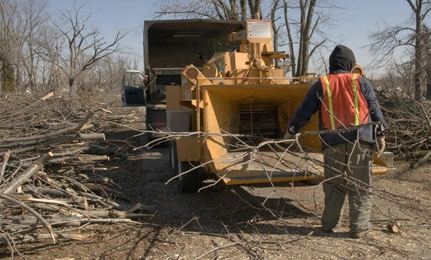 Important Pointers for Selecting a Woodchipper