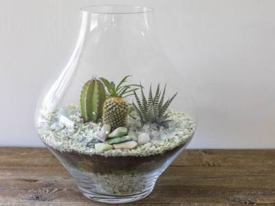 DIY Make a Cactus Terrarium - The Perfect Size for Your Desk