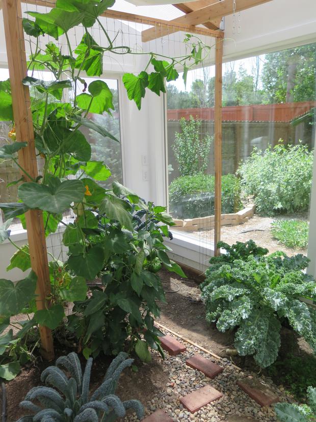 Want to Grow Exotic Plants this Summer Find Out How with a Green House