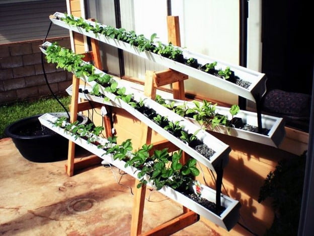 What Is the Best Hydroponic System to Start with