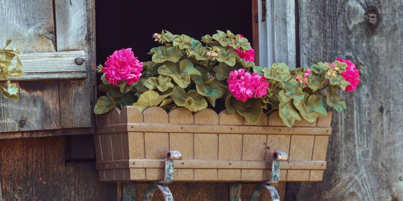 8 Best Hanging Planter Boxes You Can Buy