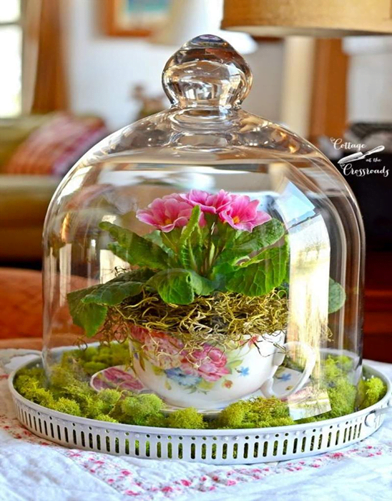 Bell Cloche Terrarium