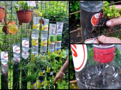 Bottle Tower Garden