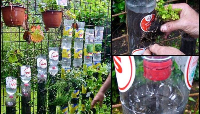 Bottle Tower Garden