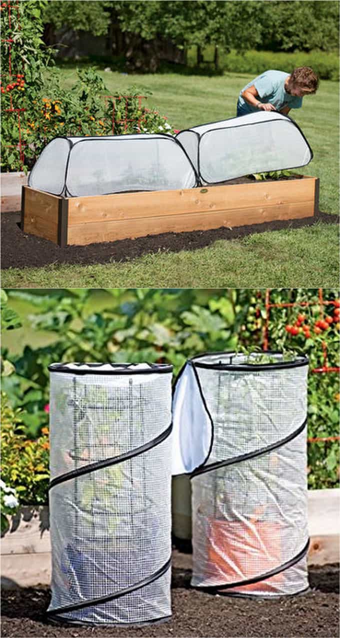 Collapsible Small Greenhouse