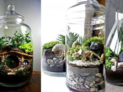 DIY Terrarium Ideas