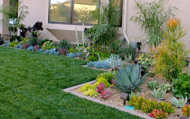 Desert Plants That Are Excellent for Landscaping