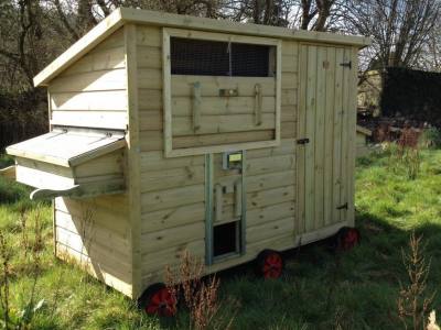 How Big Should a Chicken Coop Door Be 