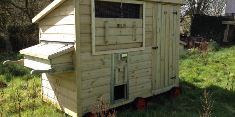 How Big Should a Chicken Coop Door Be 