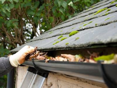 How Frequently Should the Gutters Be Cleaned