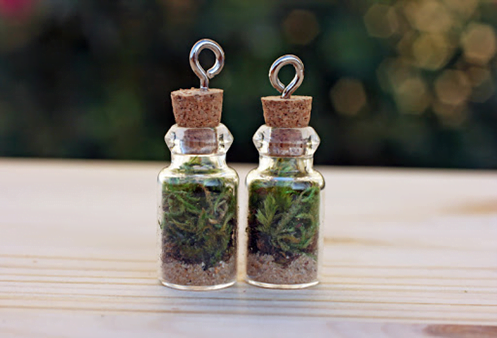 Miniature Bottle Terrarium