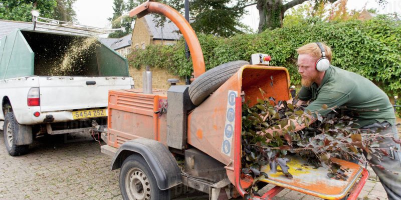 Rent a Woodchipper A Guide for Tree Removal