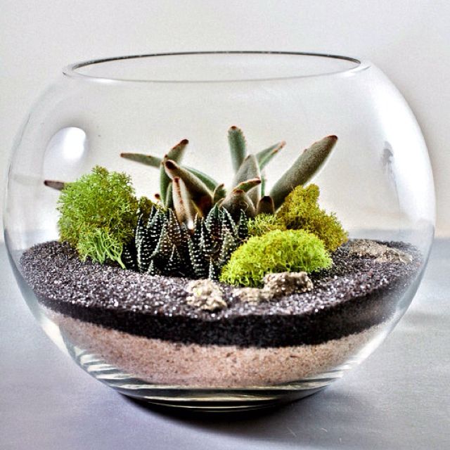 Sand Terrarium