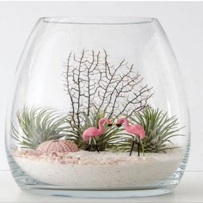 Succulent Sea-Themed Terrarium