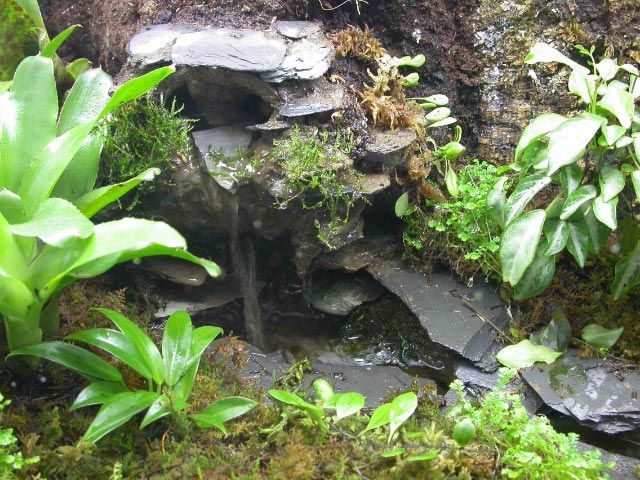 Terrarium Waterfall