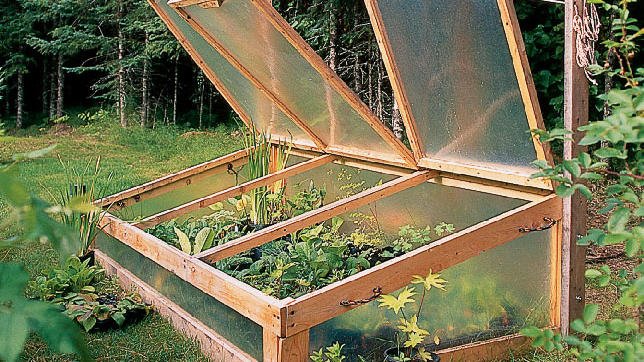 diy greenhouse and cold frames