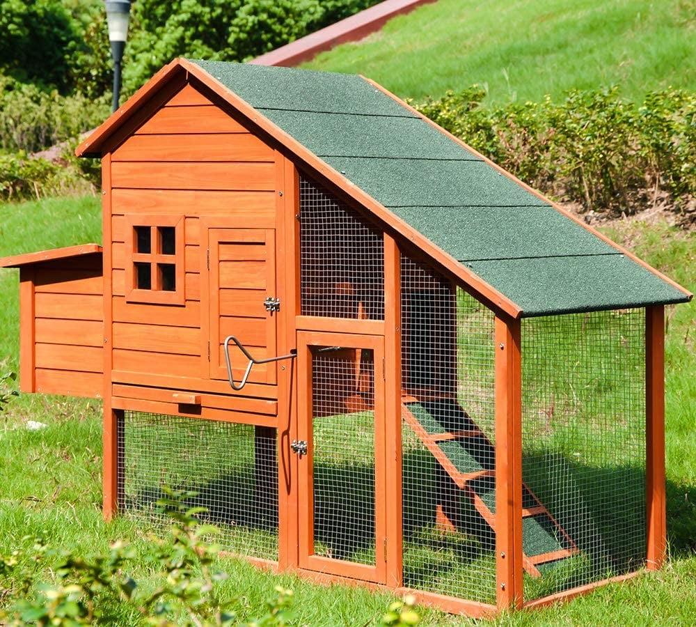 Chicken Coop Door