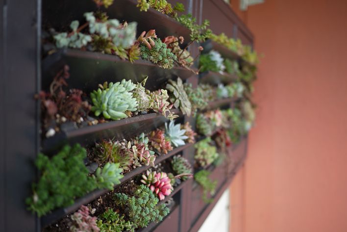 DIY Old Shutter Vertical Garden for Succulents