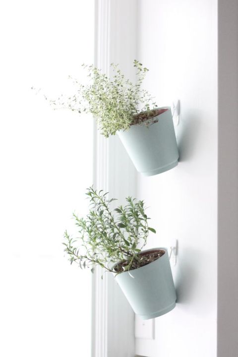 DIY Single Vertical Planter