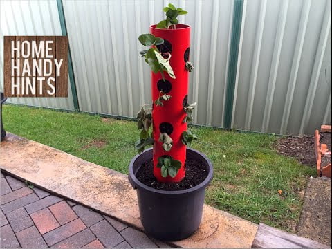 DIY Strawberry Tower