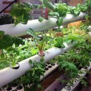 DIY Tower Garden PVC Ideas