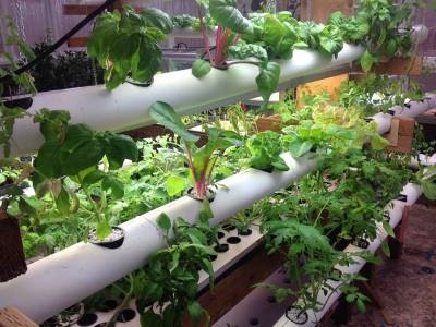 DIY Tower Garden PVC Ideas