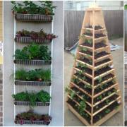 DIY Vertical Garden