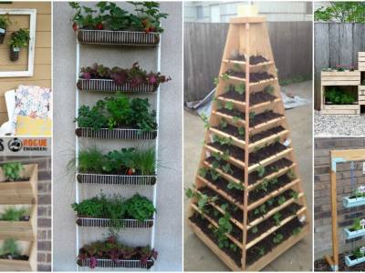 DIY Vertical Garden