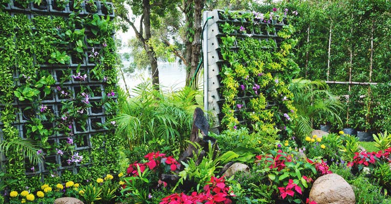 DIY Vertical and Horizontal Garden with Dripping Water System