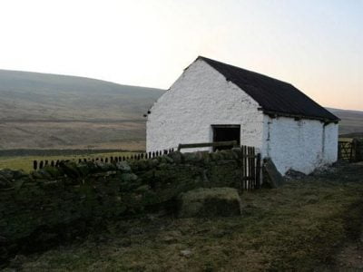 How to Whitewash Your Barn and Chicken Coop