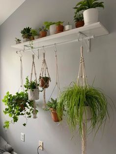 How to hang a plant from ceilings 2