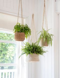 How to hang a plant from ceilings 3