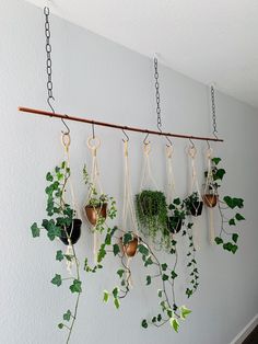 How to hang a plant from ceilings