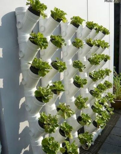 Vertical Gardening Pipe