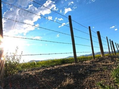 A Quick Guide to Building Farm Fence