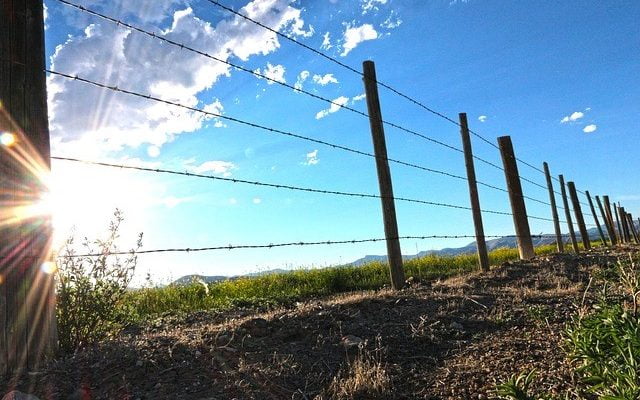 A Quick Guide to Building Farm Fence