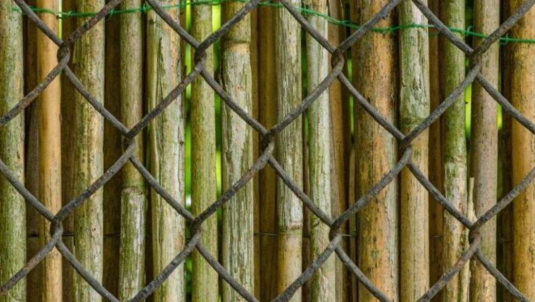 Bamboo Chain Link Fencing