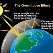 Causes of the Greenhouse Effect