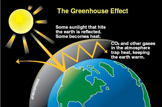 Causes of the Greenhouse Effect