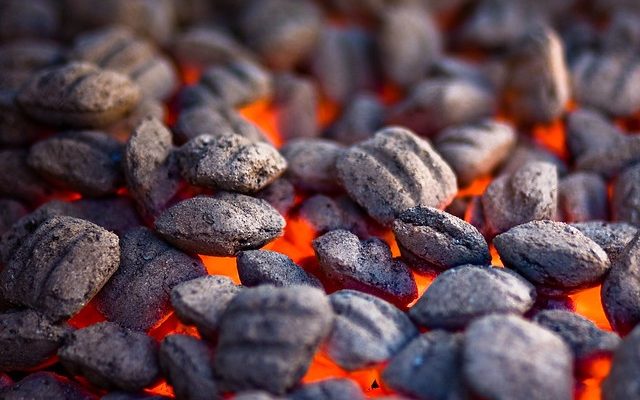 Charcoal Briquettes