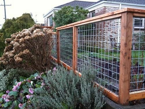 Elegant Welded Wire Fencing