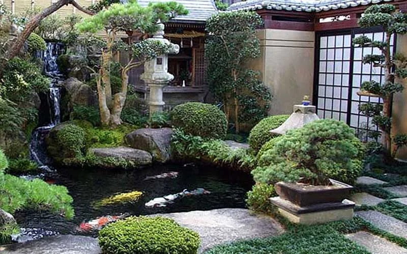 Koi Pond with Waterfall