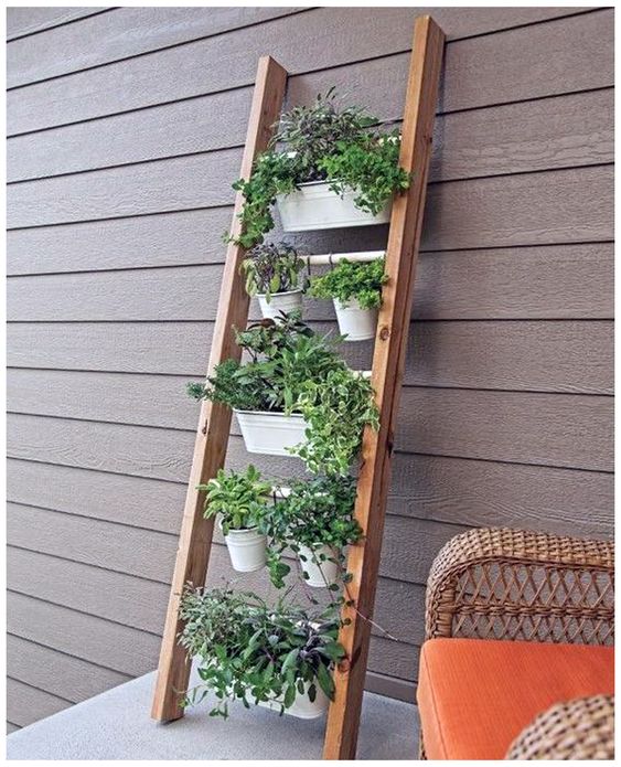 Ladder Planters