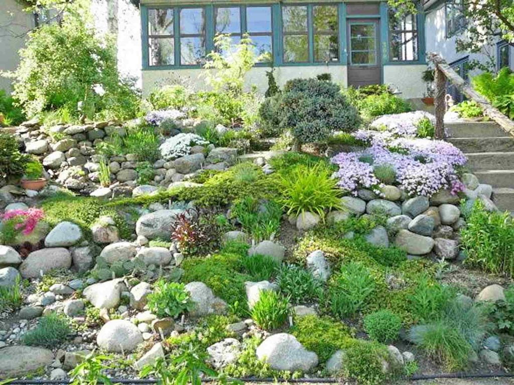 Natural Hillside Rock Garden