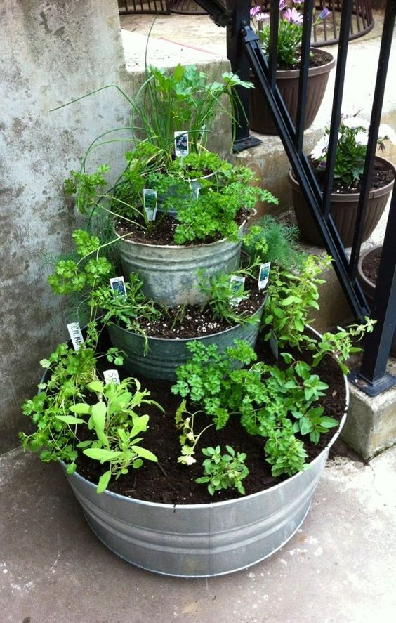 Vertical Pot Garden