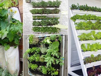 Vertical Vegetable Garden Ideas