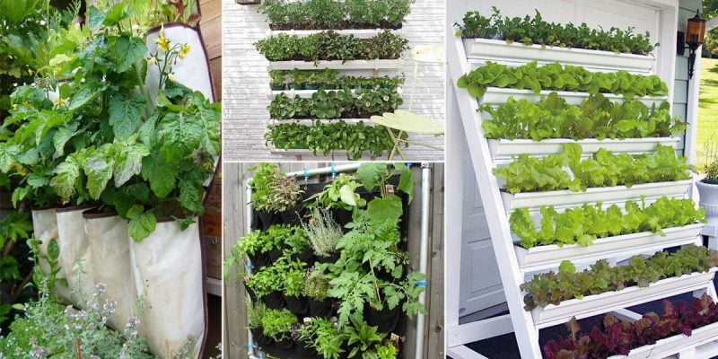 Vertical Vegetable Garden Ideas