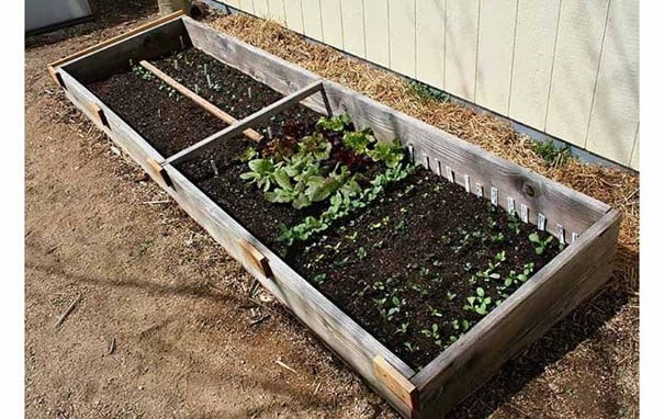 First Step Towards Using Cold Frame